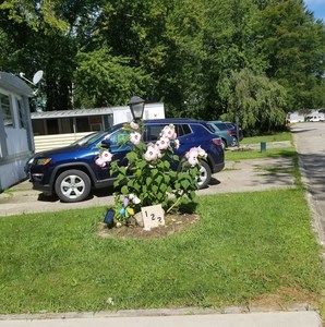 Meet your Posher, Mary